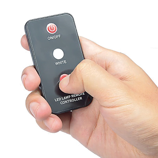 CARPSPIRIT LUZ BIWY 1 CARPSPIRIT LUZ BIWY 1