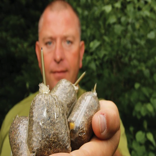 AVID-BAGSTEMS-LONG-2