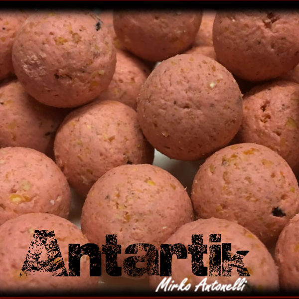 CARPZONE-BOILIE-ANTARTIK