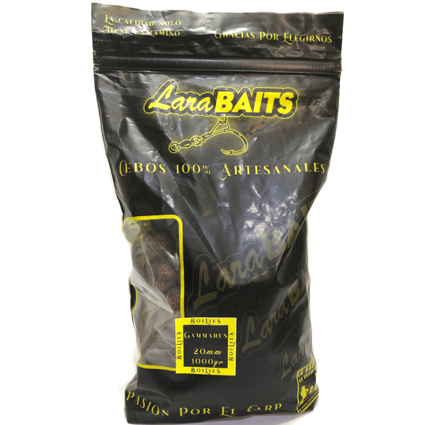 LARA-BOILIES-GAMBARUS-1 LARA-BOILIES-GAMBARUS-1