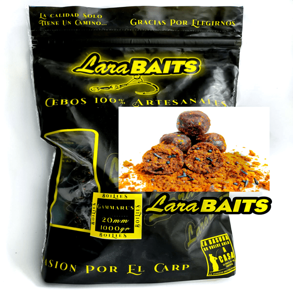 LARA-BOILIES-GAMMARUS