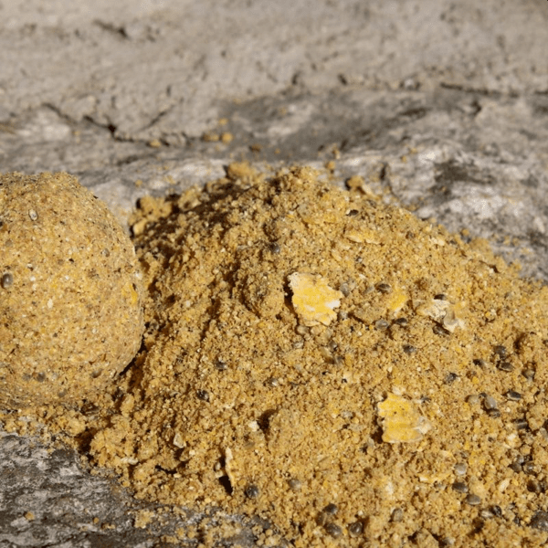 PRO-BIG-CARP-CHUFA-1 PRO-BIG-CARP-CHUFA-1