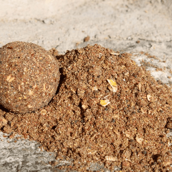 PRO-BIG-CARP-HALIBUT-1 PRO-BIG-CARP-HALIBUT-1