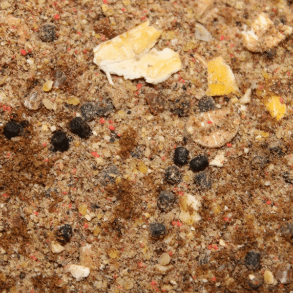 PRO-BIG-CARP-HALIBUT-2 PRO-BIG-CARP-HALIBUT-2