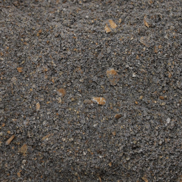 PRO-BIG-CARP-SQUID-1