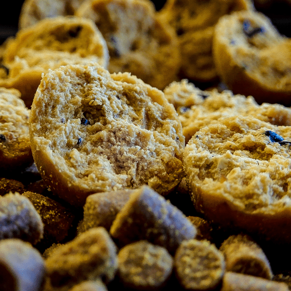 PRO-SESSION-DREAMS-1 PRO-SESSION-DREAMS-1