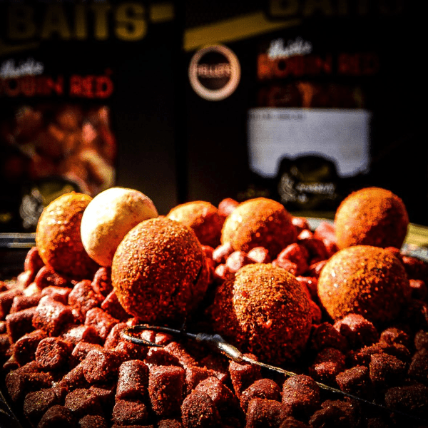 PRO-SESSION-ROBIN-2 PRO-SESSION-ROBIN-2