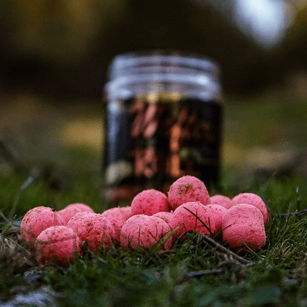 PRO-WAFTER-ANTARTIC-2 PRO-WAFTER-ANTARTIC-2