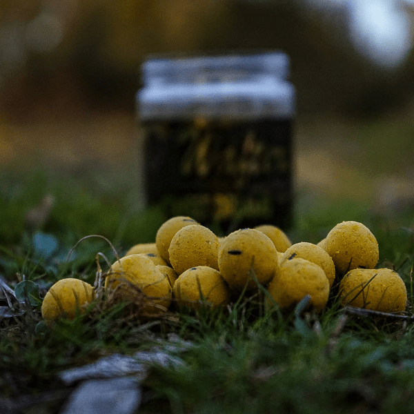 PRO-WAFTER-DREAMS-1 PRO-WAFTER-DREAMS-1