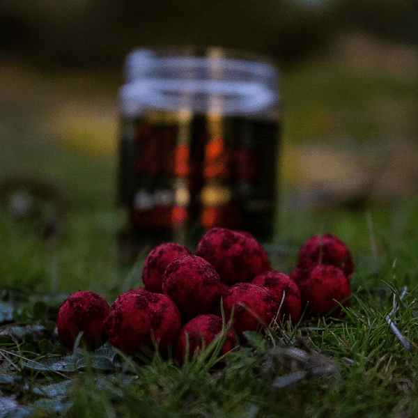 PRO-WAFTER-ROBIN-1 PRO-WAFTER-ROBIN-1