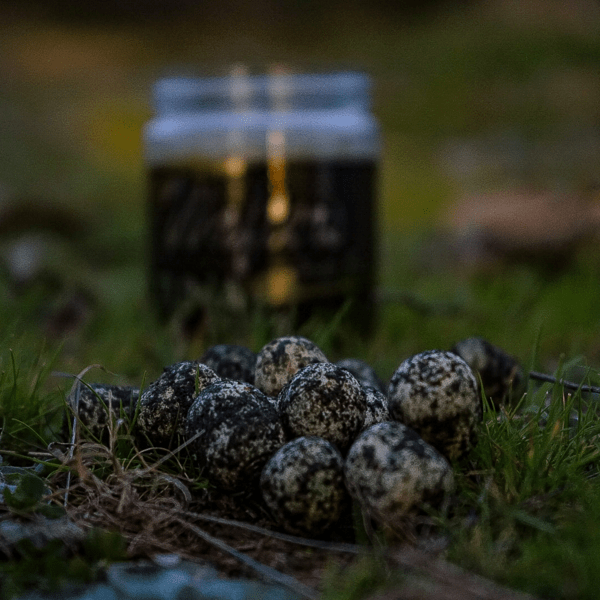 PRO-WAFTER-TUNA-1 PRO-WAFTER-TUNA-1