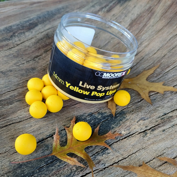 CC MOORE LIVE POP-UP AMARILLO 1