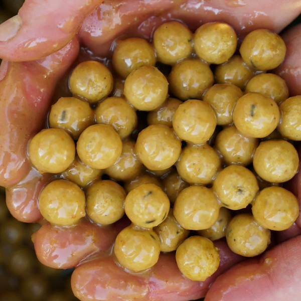 CC MOORE LIVE SYSTEM BOILIE 3