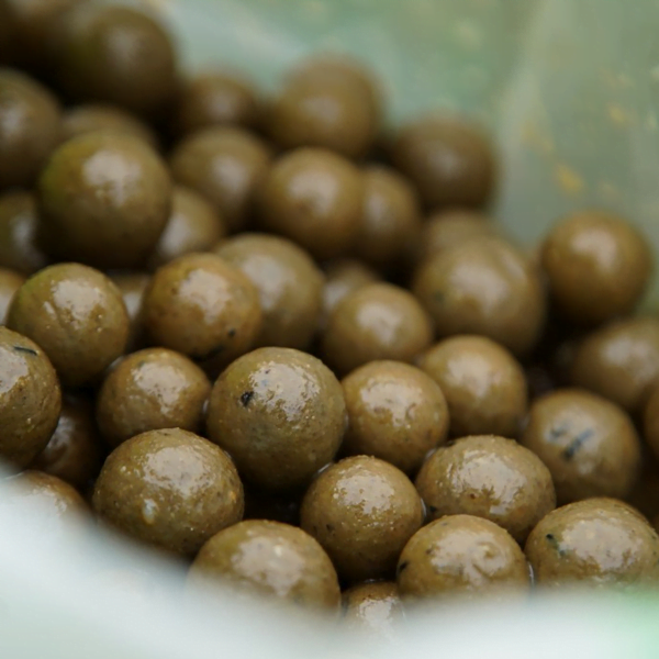 CC MOORE ODYSSEY BOILIE 2