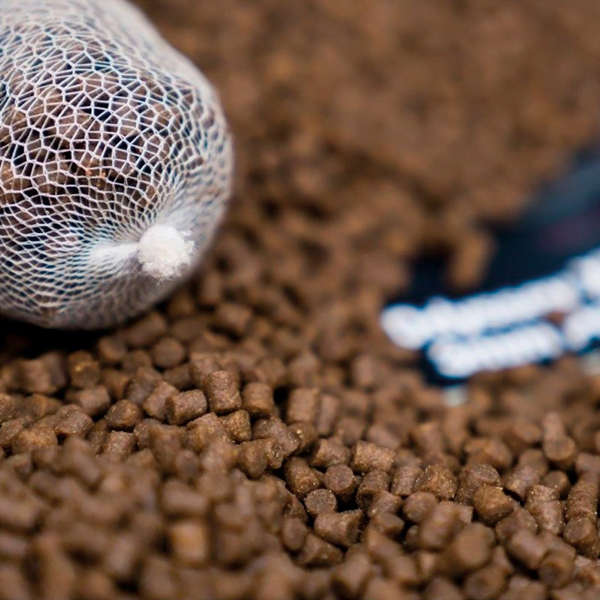 CC MOORE ODYSSEY PELLET