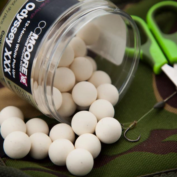 CC MOORE ODYSSEY POP-UP BLANCO 1