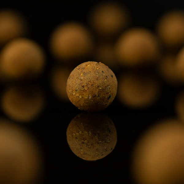 STICKY KRILL BOILIES 2