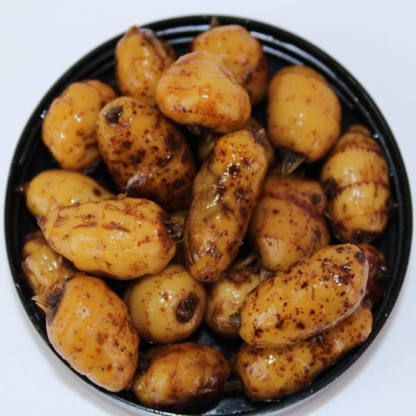 PRO ELITE CHUFA 2 PRO ELITE CHUFA 2