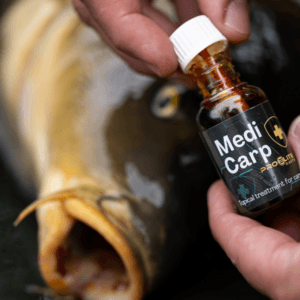 Pro Elite Baits MediCarp Antiséptico Pincel